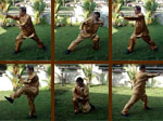 Triple Stretch Kung Fu Set