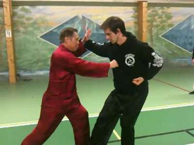 Shaolin Flower Set 2011