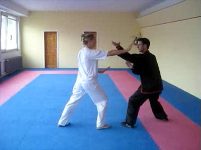 Frankfurt Tai Chi 2012