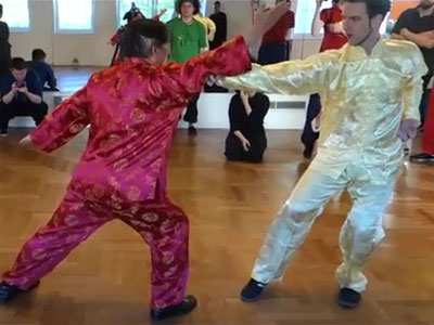 Shaolin 5 Animal Set