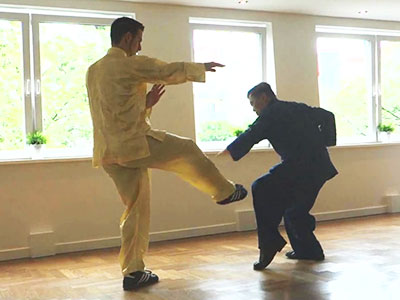 Tiger-Kranich in Wien