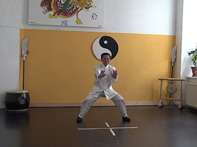Sifu Kung Fu in Wien 2018
