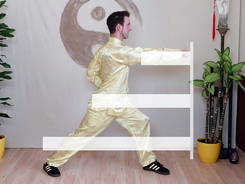 Videp-Unterstützung