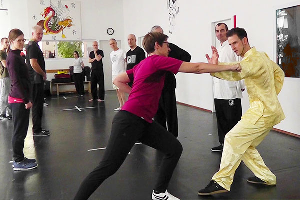 Shaolin Kung Fu Gruppe Wien
