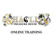 Shaolin Treasure House Logo