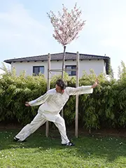 Der grüne Drache präsentiert seine Krallen