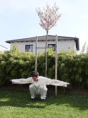 Drei Ebenen zur Erde