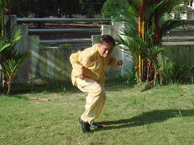 The Five Animals Of Shaolin Kung Fu Part 3