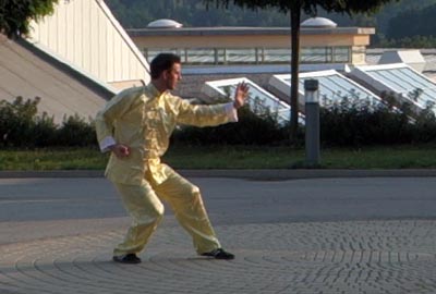 Kung Fu Kampfstellung