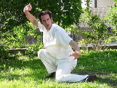 Tiger in Bergen fangen