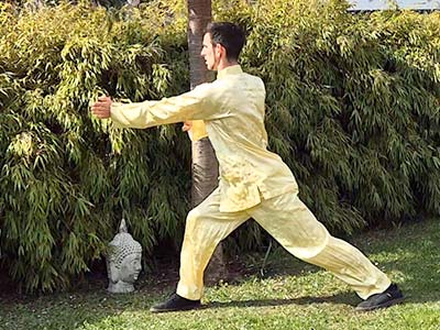 Dark Dragon Kung Fu-Technik