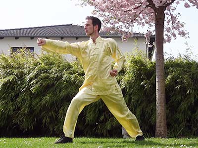 Fierce Tiger Kung Fu-Technik