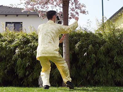 Golden Lotus Kung Fu-Technik