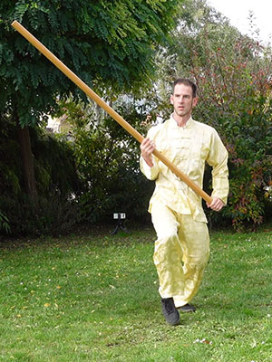 Tai Chi Langstock Flick