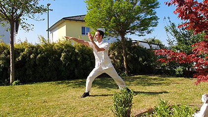 Tai Chi Chuan Schlangentechnik