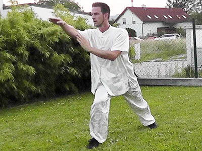 Weiße Schlange Taiji-Technik