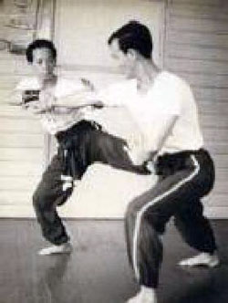 Ho Fatt Nam Kung Fu Training