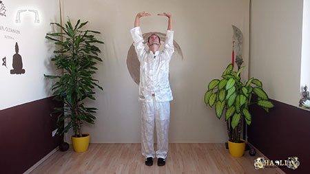 Die Essenz von Qi Gong Online-Training Die Essenz von Qi Gong Onlinekurs