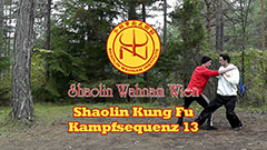 Shaolin Kung Fu Kampfsequenz 13