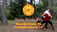 Shaolin Kung Fu Kampfsequenz 15