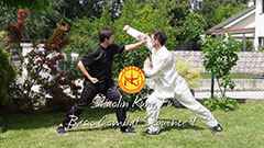 Shaolin Kung Fu Kampfsequenz 4