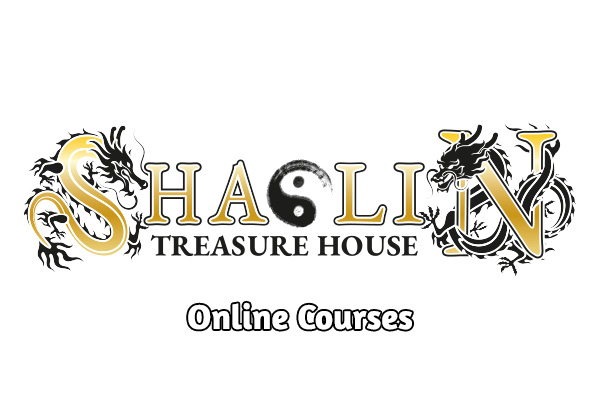 Shaolin Treasure House Online-Training