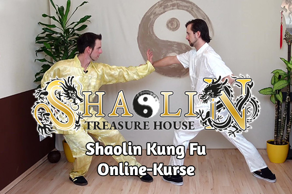 Shaolin Treasure House Online-Training