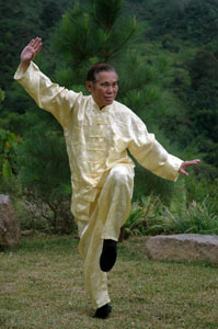 Sifu Wong Kung Fu Kranich