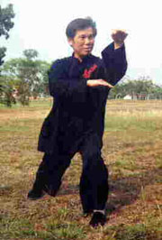 White Snake Shoots Venom