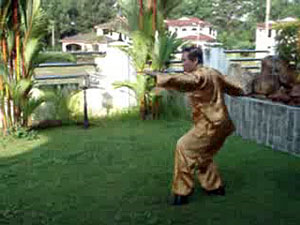 Shaolin Kung Fu: White Crane Flaps Wings